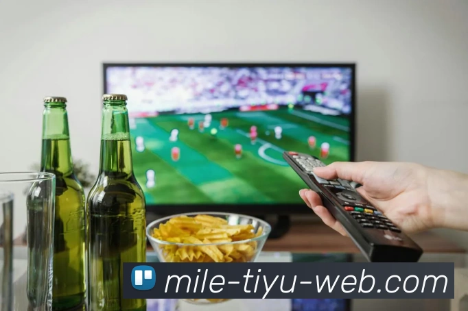 多媒体互动体验