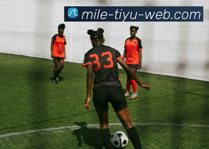 米乐体育APP 高清赛事图